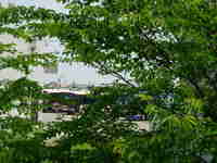 img20130609193649.jpg
