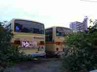 img20130610191224.jpg
