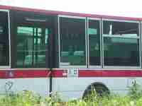 img20130818113238.jpg