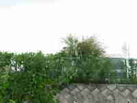 img20130904203628.jpg