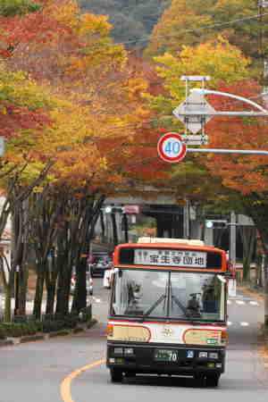 img20131111161028.jpg