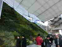 img20131215233100.jpg