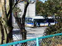 img20140212190905.jpg
