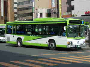 屋根は白くない