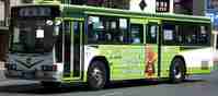 img20140305234220.jpg