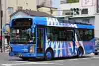 img20140310214931.jpg