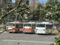 img20140405121026.jpg