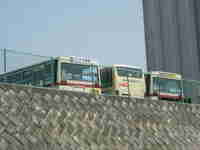 img20150322213250.jpg