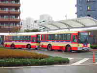 img20150328123638.jpg