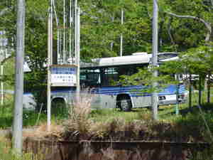 CtIs^ɂ