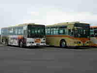 img20150629053629.jpg