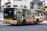img20160131180014.jpg