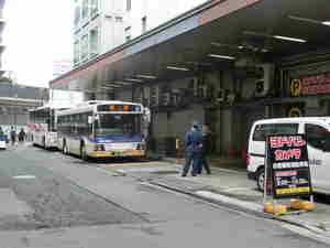 新路線オープン