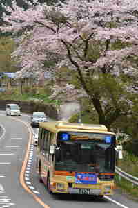 img20160410204939.jpg