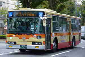 img20161104181550.jpg