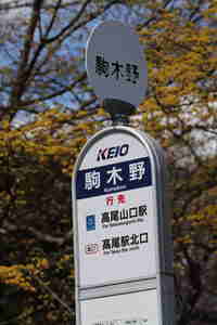 img20170320105213.jpg