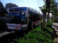 img20171118111113.jpg