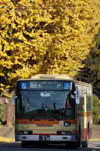 img20200202191015.jpg