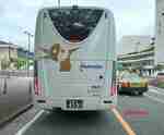 img20200701210237.jpg